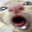 Goopy