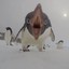 AngryPinguin