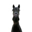 dorley hall resident horse