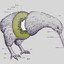 MrKiwi