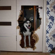 敢敢动了心变成憨憨