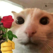 你吃啥呢给我也来一口