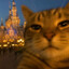МАМУТ РАХАЛ
