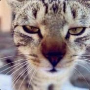 不怂敢上心态棒