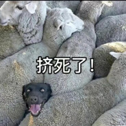 翻斗花园大头爷爷