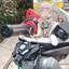 MechRabbit