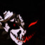 HaTTori