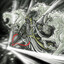 EzaloR-