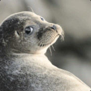 Pigeon_(buying skins) CS.MONEY