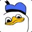 Dolan (swag)
