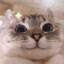 つ˙_˙つ