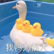 无法连接设备