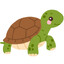 tortuguita