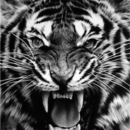 TiGraFF avatar
