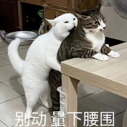 持剑隐居于世 Steam avatar