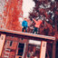 Vintura
