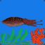 piezocuttlefish
