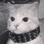 Pepi_D_oro