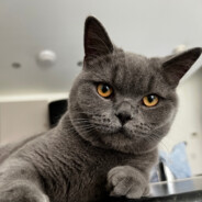 ᴉuNNɐꓷ㋡ - steam id 76561199038375791