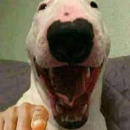 I get messages from the stars