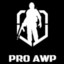 Pro AWP