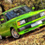 zs1guli