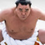 Harumafuji