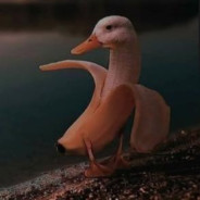 DuckBanana