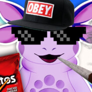 крабик террорист