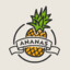 ANANA&#039;S
