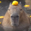 The Capybara