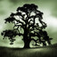 Haunted Oak
