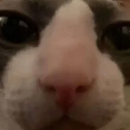 Mengas's avatar