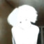 okiyama