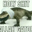 ALLAH GATOR