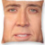 ZeroFern