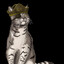 SeaCat