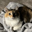 Da1c7de7789a537ffbb17053c8cb1db3879d4527 medium