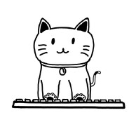 _敲键盘的猫