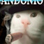 Gandonio
