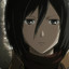 Mikasa es tu kasa