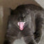 Grrrrrr