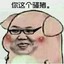 勿忘白给少年人