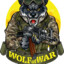 TheWolf[CS2 SWE]