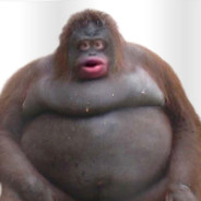 Monke