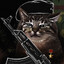 Боевой Кот