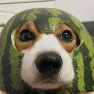 帅比的游戏日常