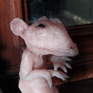 the rat that shoots a gun