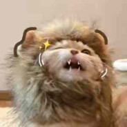 西伯利亚的稻米