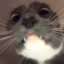 мочеиспускатель's avatar